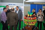 Правительство Казахстана намерено продолжать инвестировать  в сельское хозяйство и пищевую промышленность
