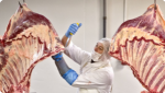 Ученые создали искусственное мясо