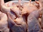 Украинская курятина будет производиться по новому стандарту