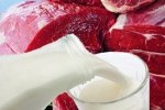 Украинскую молочную и мясную продукцию могут запретить в России